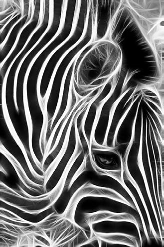 July Monochrome Print Honors Zebra in Cyberspace by Jan Lightfoot Rolando, Cuban Tobacco Farmer by Jan Lightfoot Print Division News Our