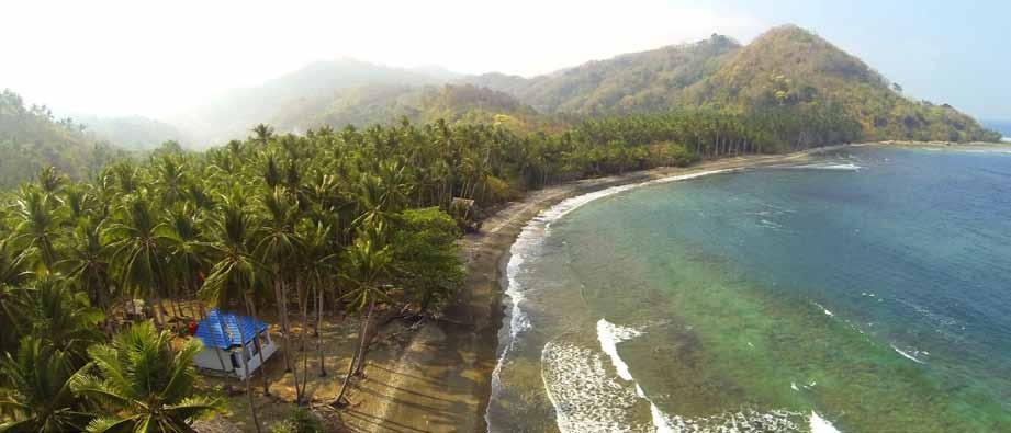ngapaloka beach Area : 4 hectare Owner : Private Owner Tourism Business Opportunities (including the investment code of the Standard Classification of Indonesian