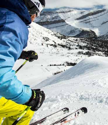 Our guide caters to all skiing abilities, from green to double black, and will show you to the best places on the mountain.