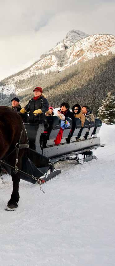They offer traditionally- styled sleighs featuring cozy upholstered seats with blankets to keep you warm and comfortable.