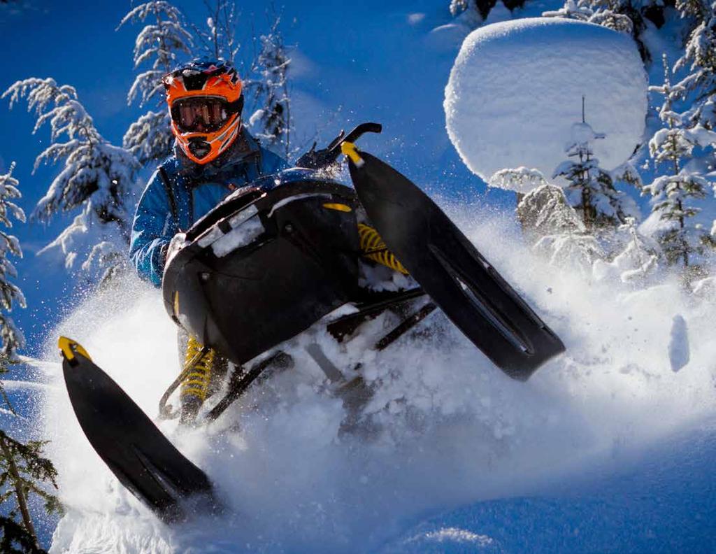 SNOWMOBILING WHITE N WILD Operated by White N Wild Based in Golden, BC, White n Wild Snowmobile Tours offer family friendly tours of the spectacular Rocky Mountains, or full-on backcountry sledding