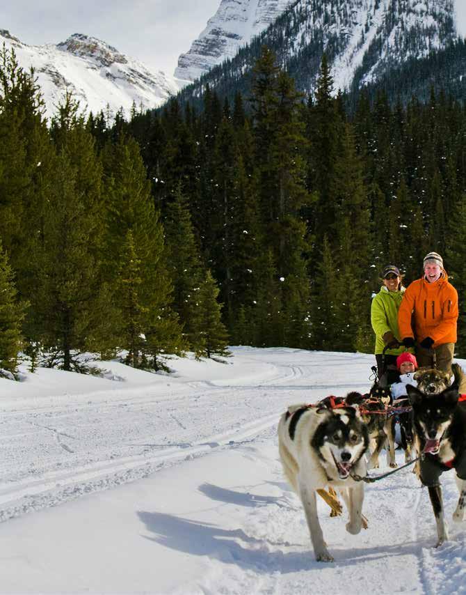 SNOWY OWL DOGSLED TOURS HOWLING DOG TOURS Operated by Snowy Owl Tours Snowy Owl Sled Dog Tours are the famous forerunners in sled dog touring and racing in the Bow Valley.