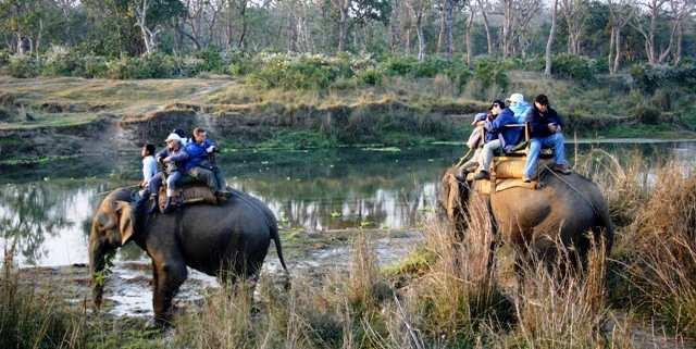 Great idea s to make your visit to Nepal even more special Royal Chitwan National Park Whether you ve just trekked in the Annapurna or Everest regions, a visit to Royal