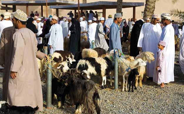 Nizwa Goat Market, Oman Sunset on the Nile, Egypt