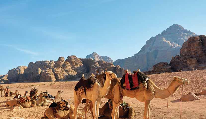 24 Small Group Touring Highlights of Egypt & Jordan Wadi Rum, Jordan Pamela Frisari HIGHLIGHTS OF EGYPT & JORDAN days: 19 from $8,595pp Flights Included MAXIMUM GROUP SIZE 20 Discover the iconic