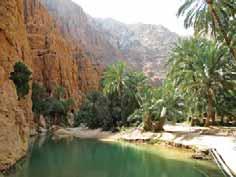 Ras al Hadd - Wahiba Sands Today we ll discover enchanting Wadi Bani Khalid, where you ll be able to swim in the incredible emerald pools.