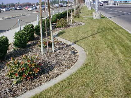 Low maintenance vegetative area has weed barrier fabric and mulch to prevent weed growth.