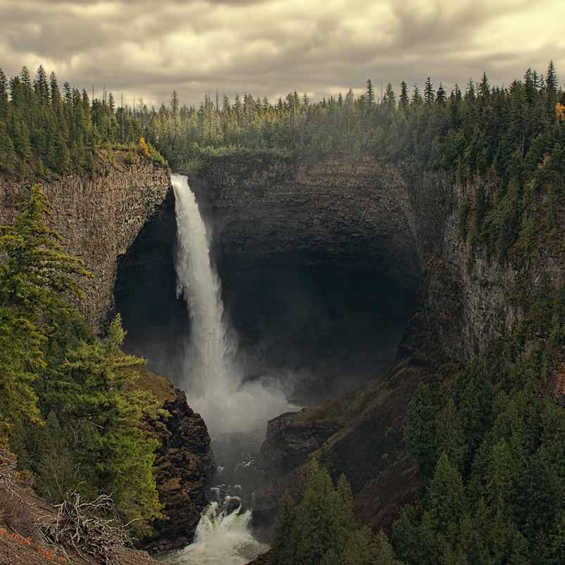 WELLS GRAY DISTANCE: 540 KMS / 335 MILES APPROX.