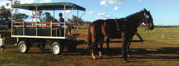 Monday, the caretaker will be onsite to collect fees. HORSE DRAWN RIDES Contact Stef to secure a seat 0497 089 589 THURSDAY afternoon: by appointment.