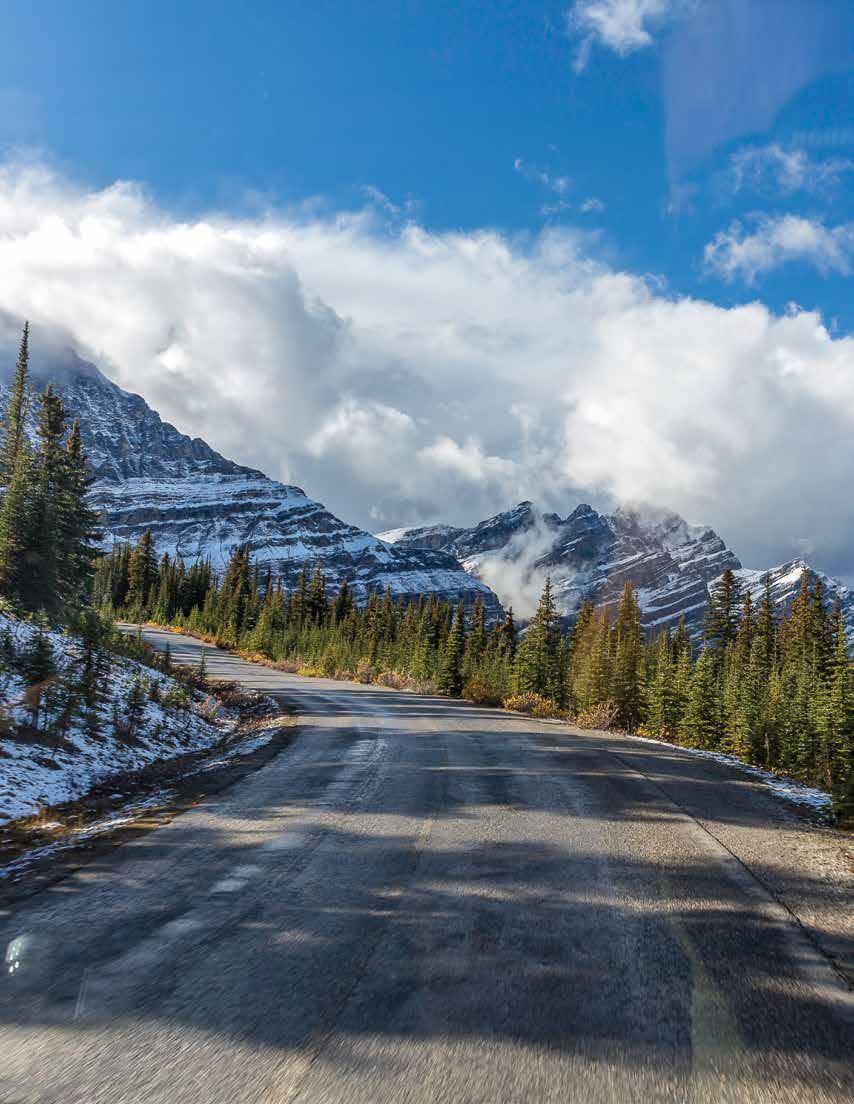 With overnight stays in Jasper, Banff and on the shores of Lake Louise, you ll be surrounded by spectacular scenery. All Canadian Rockies Cruisetours are independent travel itineraries.