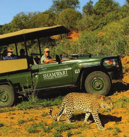 With five ecosystems, the reserve supports many forms of plant, bird and animal life, including the Big Five. There are six luxury lodges, each offering scheduled game drives and nature walks.
