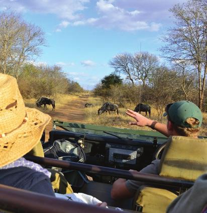 MAKUTSI CLASSIC SAFARI 7 DAY PACKAGE Between the Drakensberg Mountains and Kruger National Park lies Makutsi Safari Springs, raw South African bushveld enjoyed by those who appreciate the peace and