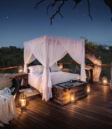 From AU$2,709*/NZ$2,949* pp twin share BREATHTAKING SCENERY CAPE & KRUGER CULINARY SAFARI 12 DAY PACKAGE This culinary safari focuses on the incredible food and wine on offer in the stunning Cape