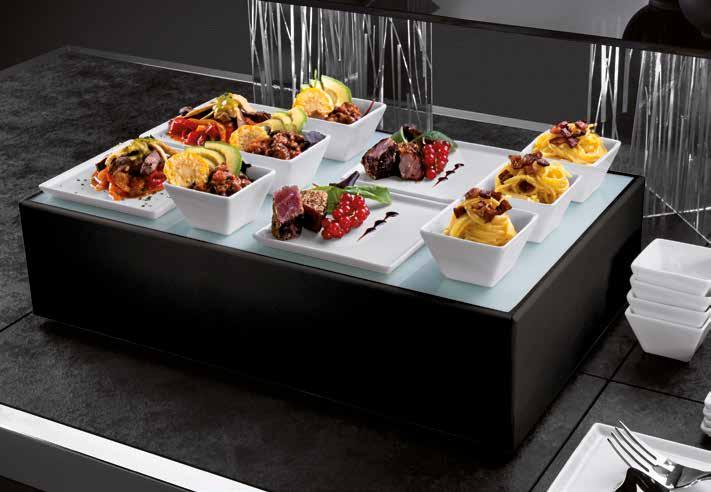 digital temperature feedback USER GUIDELINES Finger food and plated dishes should be placed on the plate with the interposition