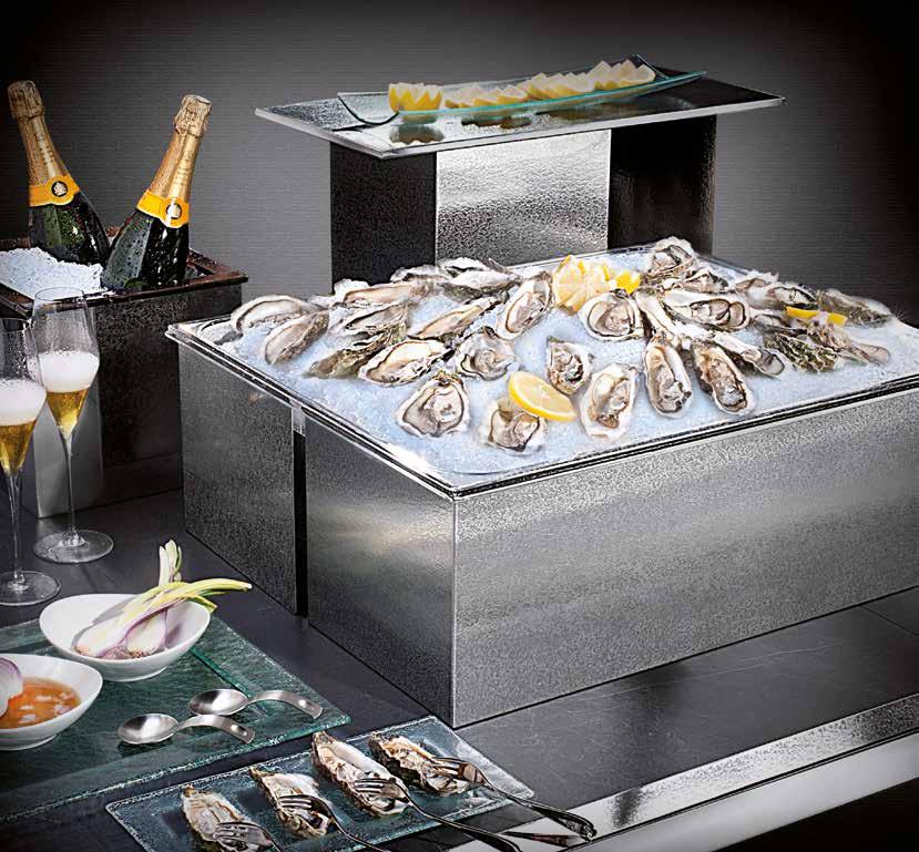 WARMING COOKING COOLING Oyster & Fruit de Mer Display NEW ICE
