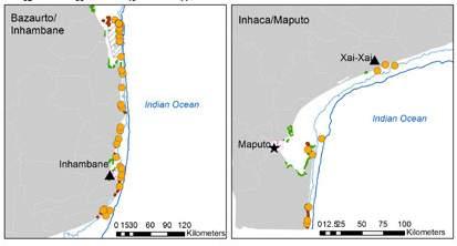 From the literature and isolated studies, coral reefs in northern Mozambique have remained healthy and vibrant, in spite of variable impact of bleaching events, and high fishing pressure in some