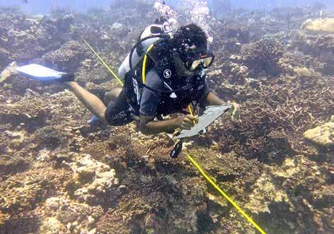 1.1.2 Methods/Approach Quantitative data on WIO coral reefs has been collected by a diversity of programmes, focused mainly on marine protected areas, programmes run by research institutes and/ or
