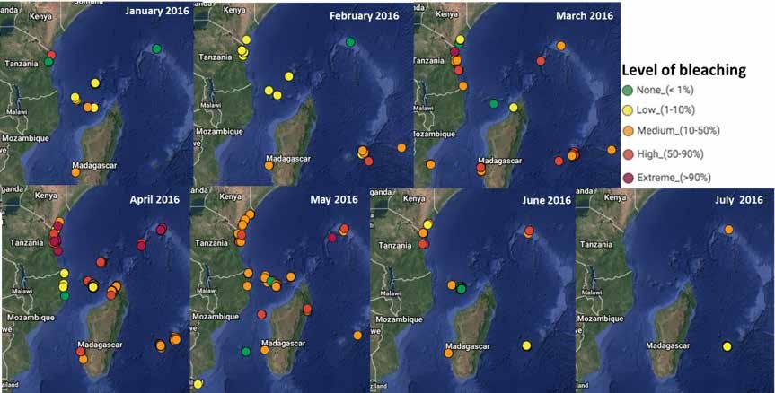 1.3.4 Results Bleaching was first reported unusually early around the Comoros archipelago at the start of January 2016 (fig. 1.3.5).