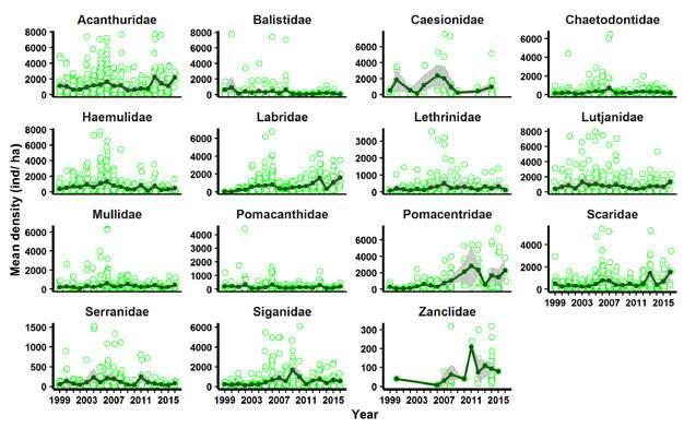 All fish families showed high variation in abundance among sites, with the abundance of some commercially important fish (such as the Acanthuridae, Lethrinidae, Lutjanidae, and Haemulidae) being