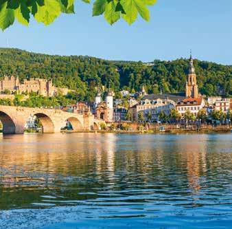 In Rüdesheim you will visit a wine museum and taste the regional wine (March- October).