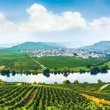 Rhine and Moselle (May-Oct), Cable car to Ehrenbreitstein (May-Oct) Wine tasting Self-drive: Economy-category rental car Mandatory insurances (please ask for details) Not included (Self-drive) fees,