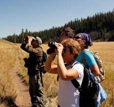 Roosevelt Rendezvous IT S A SUMMER CAMP FOR ADULTS Four days of program choices including vigorous guided hikes, early morning wildlife observations, easy geology strolls, photography tours, and