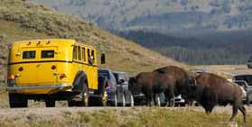 $1,659 per person, double occupancy $2,136 per person, single occupancy OLD TIMES ON THE GRAND TOUR The focus of this five-day program is the famous grand tour of Yellowstone.
