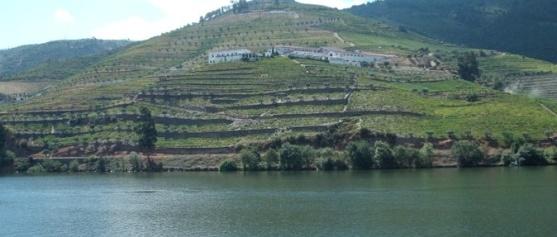 Douro Wine Region - World Heritage (Douro Vinhateiro Património mundial) The Alto Douro Wine Region is a zone particularly representative of the landscape that characterizes the vast traditional