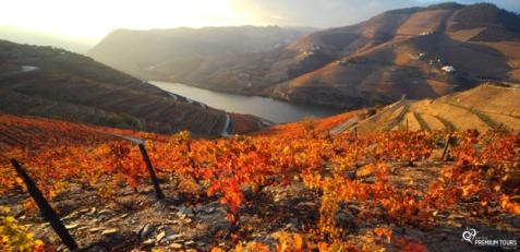 The cultural landscape of the Alto Douro combines the monumental nature of the valley of the River Douro, made of steep slopes and poor soil and rough, with ancestral and continuous action of man,