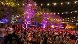 Be entertained throughout the Enlighten Festival.
