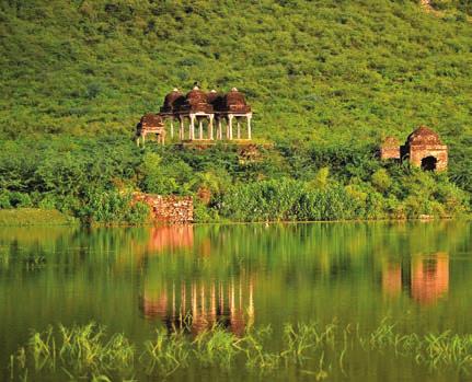 A sanctuary in the arid Aravalli hills, 90 minutes from frenetic Jaipur, the property is surrounded by mature palm, fruit and eucalyptus trees, which shade the emerald-green pool.
