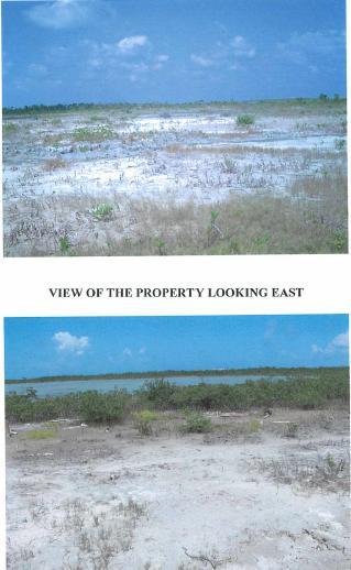 PUBLIC AUCTION SALES: PROPERTIES North Ambergris Caye; West Ambergris Caye, Belize District; Placencia Peninsula; Hopkins; Stann Creek District;