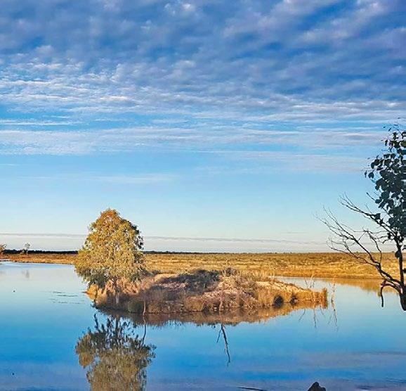 Birdsville Hotel Cooper Creek cruise EARLY EMU SAVER ALERT Save $600 pp Valid May & Sep departures PRICES ( PER PERSON ) INCLUSIONS All motel en suite accommodation Travel by luxury 4WD coach