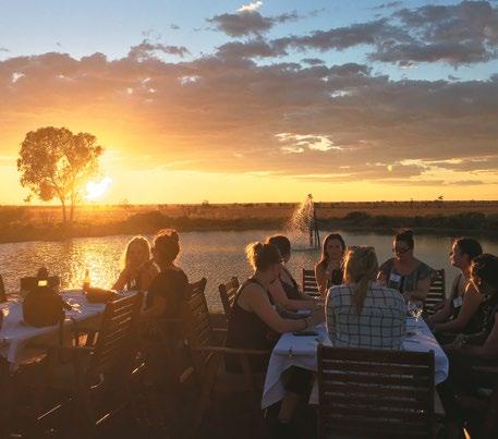 Late afternoon, experience the warm hospitality of local graziers on our Camden Park Station Sunset Tour including a barbeque dinner with our hosts under the spectacular outback night sky.