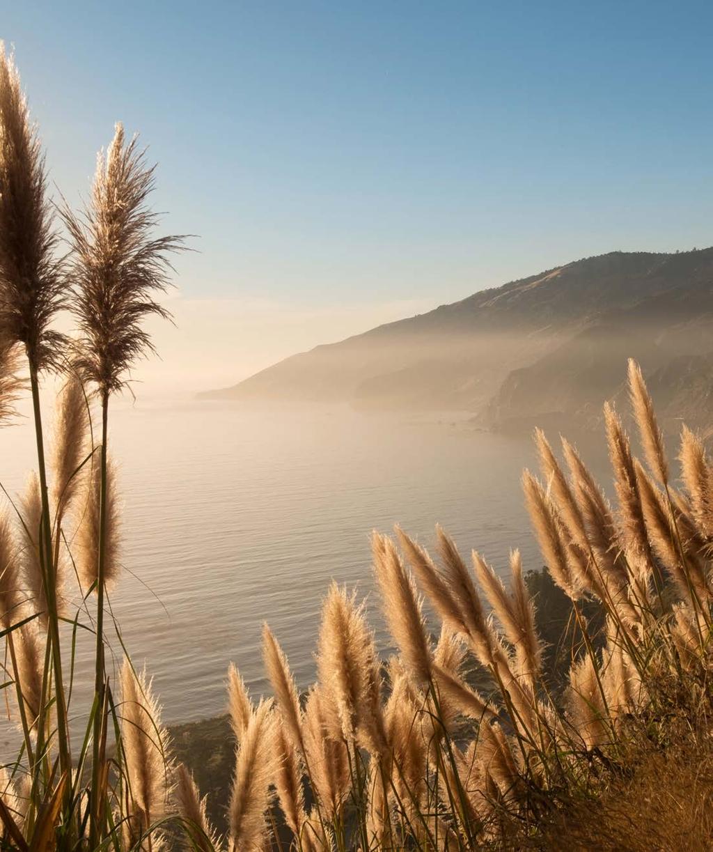 BIG SUR A PLACE UNLIKE ANY OTHER Located at the intersection of the Pacific Ocean and the Santa Lucia Mountains, Big Sur is equal parts American legend and natural wonder, one of the most scenic