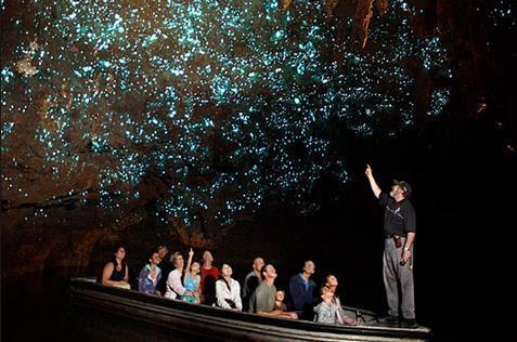 Here we will embark on a boat and cruise into a grotto illuminated by countless of tiny glow worm suspended from the cave ceiling.