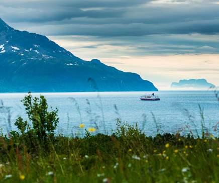 In spring, we also enjoy views of the beautiful Lyngen Alps, as we take a detour into the