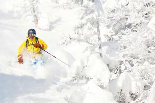 Backcountry Skiing & Nordic Guide Tours Contact the Alpine Concierge to reserve. Backcountry Day Tour Stowe offers miles of high and low elevation backcountry ski touring.