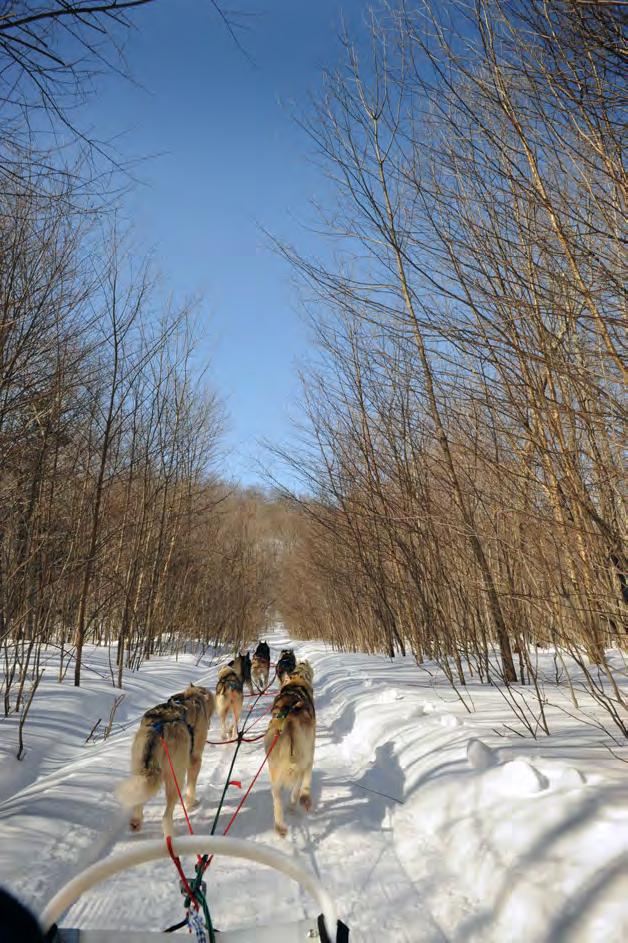 Your guide will take you to historic and scenic Smuggler's Notch to access exciting, snow-packed snowshoe trails and then back down on our sleds!