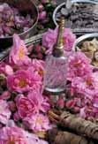 41 Back to the origin Rose water Morocco, the Kingdom of wellbeing Introduction: In Morocco, wellbeing is an ancient culture.