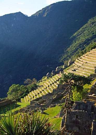 Proceed on a three-hour private guided visit to the citadel in Machu Picchu, exploring the