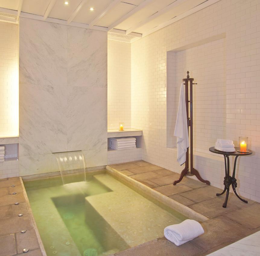 include hydrotherapy pools, saunas, steam rooms, cold plunge pools and dressing rooms Treatments specialise in
