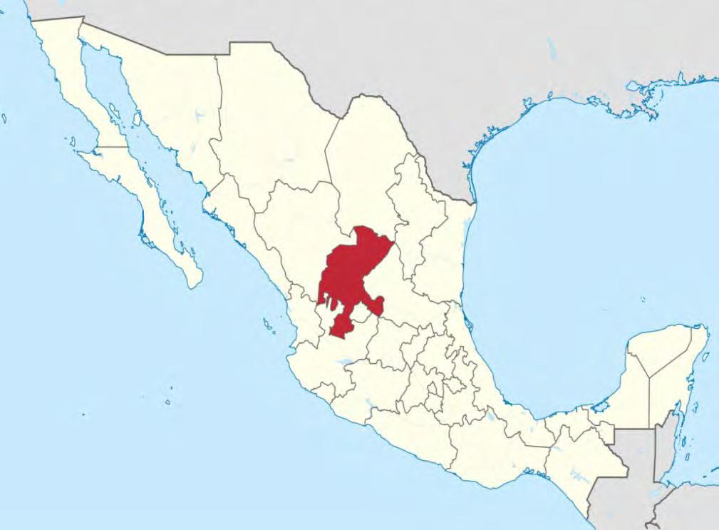 GENERAL INFORMATION Zacatecas has a surface of 75,539 km 2, equivalent to the 3.8% of the total surface of the country, occupying the 8th national place in territorialextension.