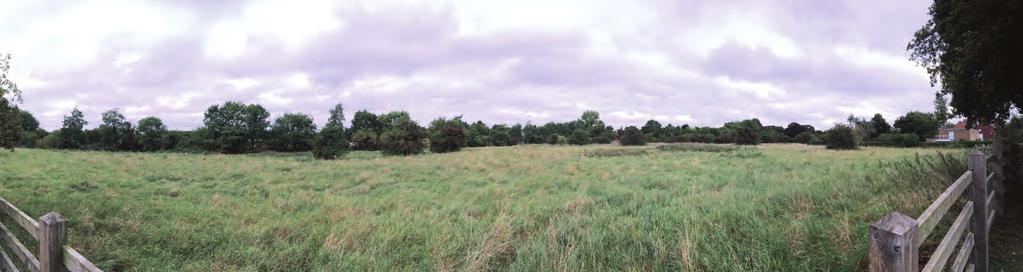 Photograph 3: View north west from the end of Cranmer Road Representative Topography and
