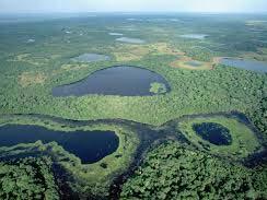 Pantanal World s