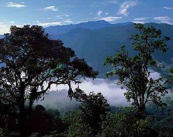 The altitude within the reserve drastically changes from 950 meters to 1650 meters above sea level.