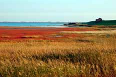 grazing marsh, brackish and saline lagoons 2 Alkborough Flats Humber, North