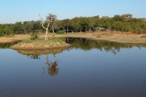 From Shikumbu Lodge one can easily experience seven different Kruger Park ecozones.