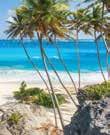 MIAMI 14 days Ja 12, 2019 RIVIERA choose oe: 6 FREE Shore Excursios