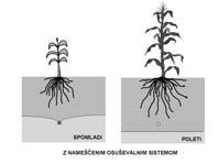 Če je nivo nasičenega območja tal previsok za optimalen razvoj korenin, povzroča slabo rast rastlin.